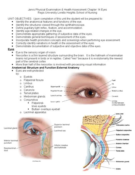 Chapter 1: The Eye Examination .